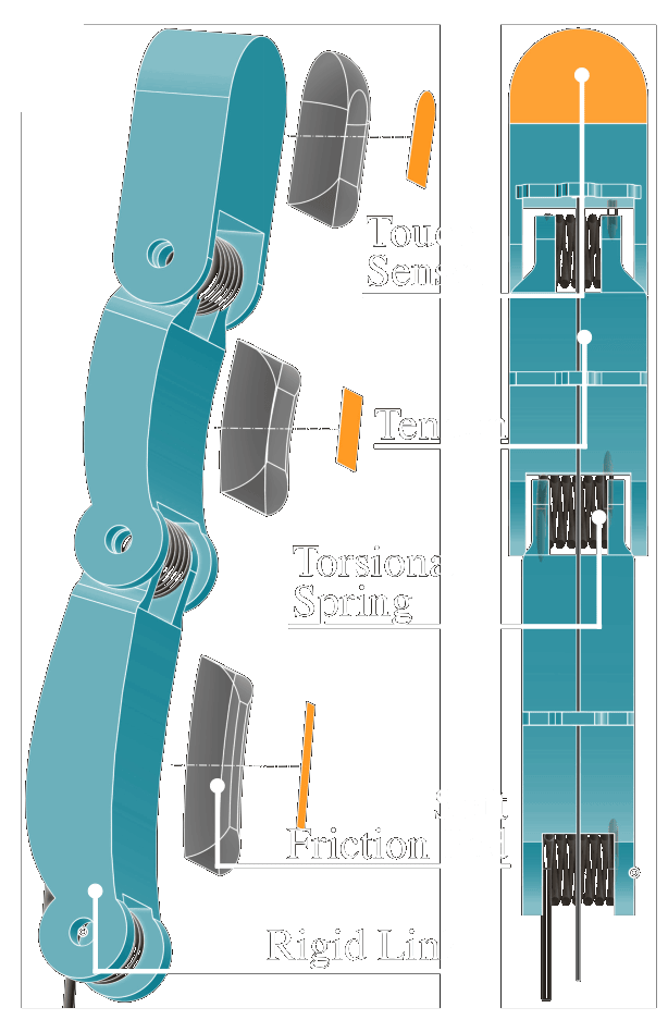Exploded view and cross-section of a single finger