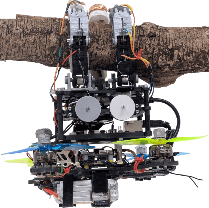 The prototype hanging passively from a tree branch