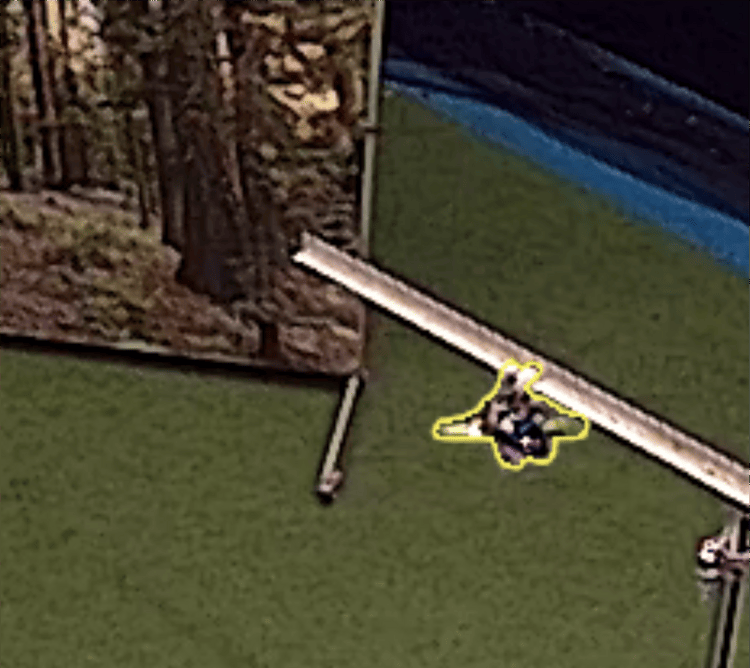 Perched on the T-bar target