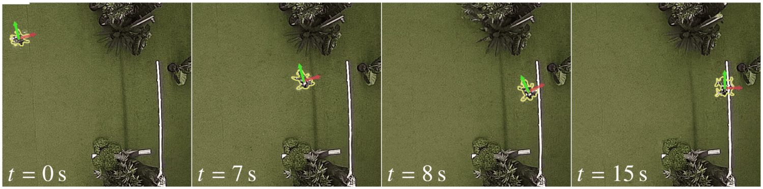 Top-down snapshots of a perching maneuver